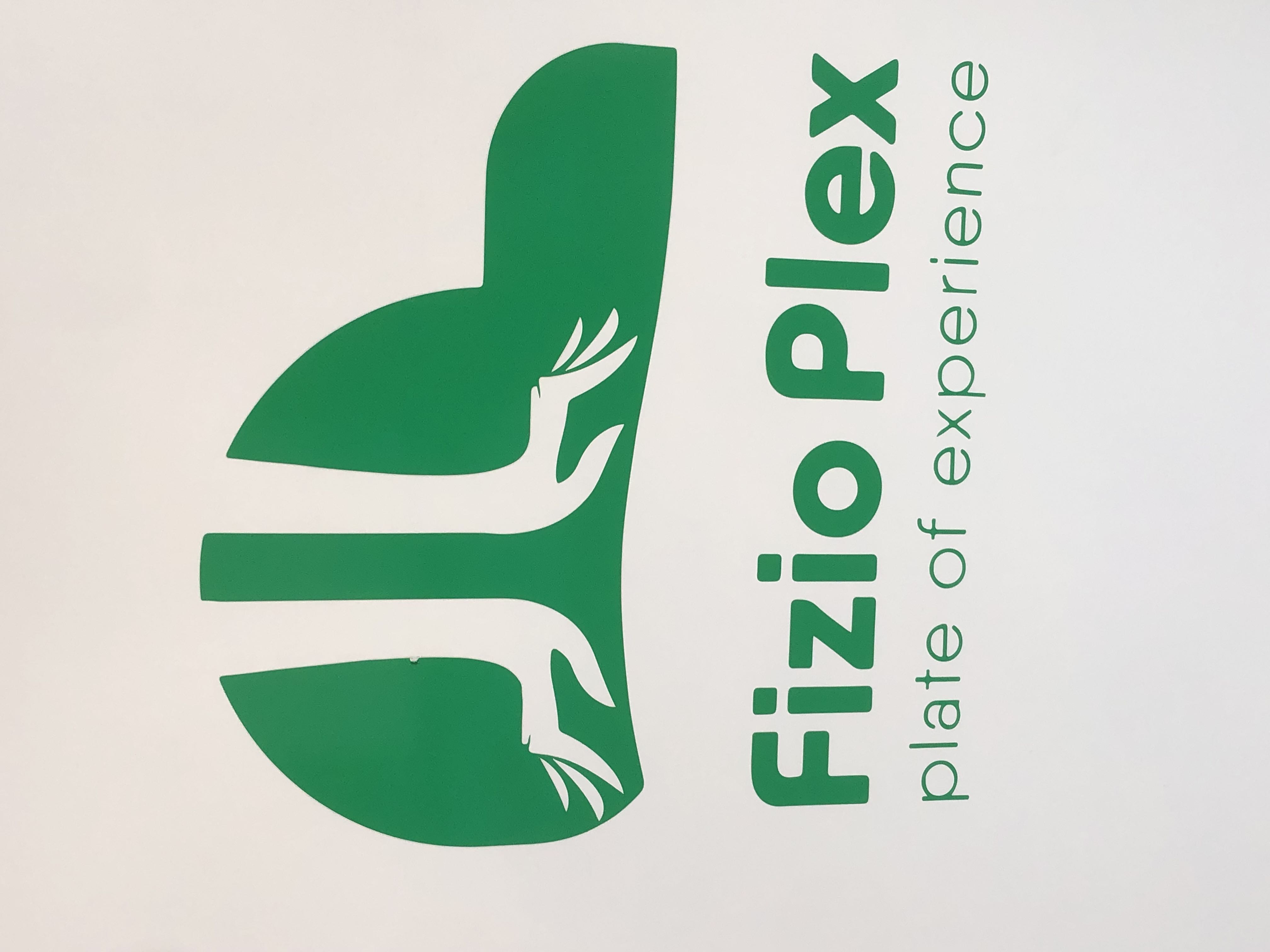 Fizioterapi Kamëz