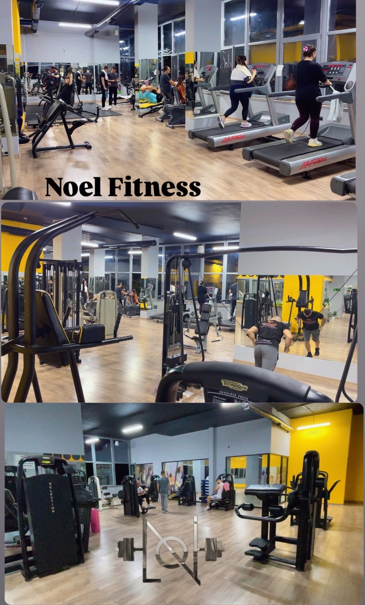 Noel Fitness