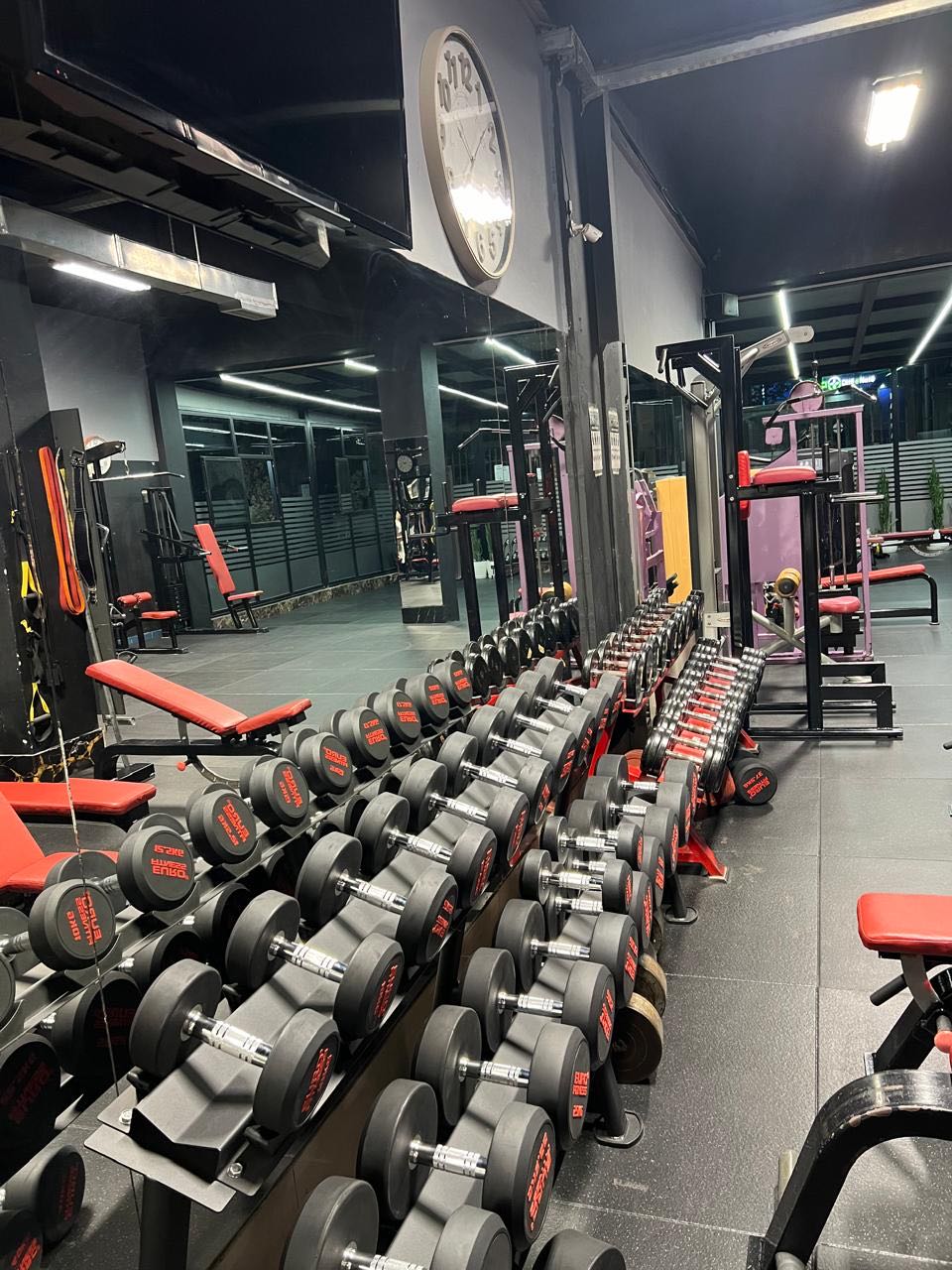 V-DEX FITNESS CLUB